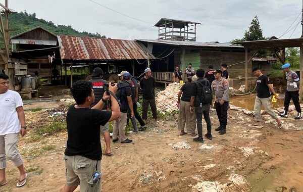 Tim gabungan Polres Halsel dan Polda Maluku Utara tutup tambang emas ilegal (dok//jmg)