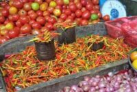 Istimewa/tampilNews.com