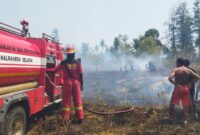 Kondisi lapangan dan upaya petugas damkar menjinakkan kobaran api. Dok: tN.com