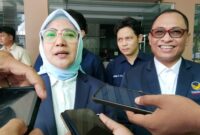 DPW Partai Nasdem malut, Husni Bopeng. Dok: istimewa